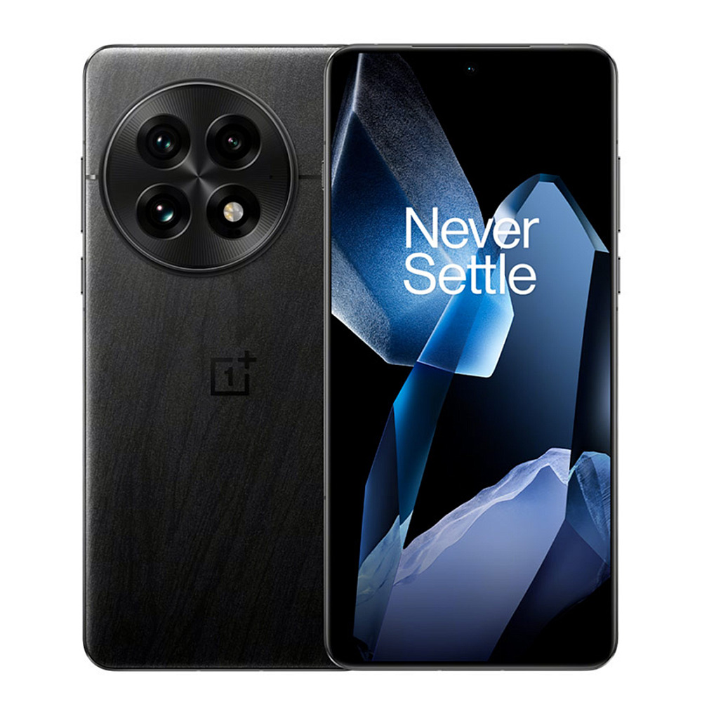 OnePlus 13